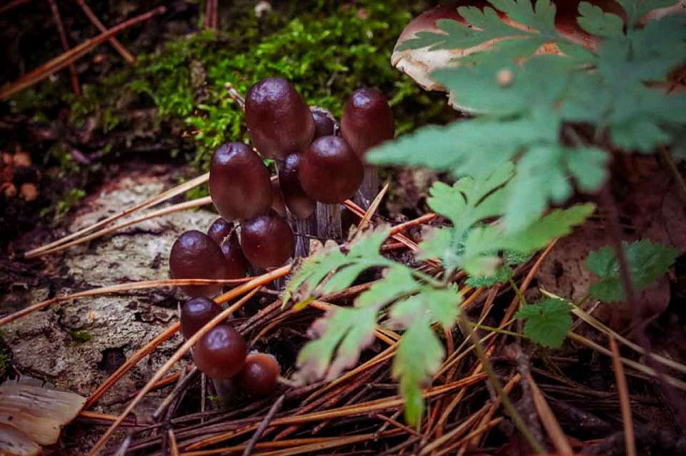 Границы Ольховатского заказника внесли в ЕГРН