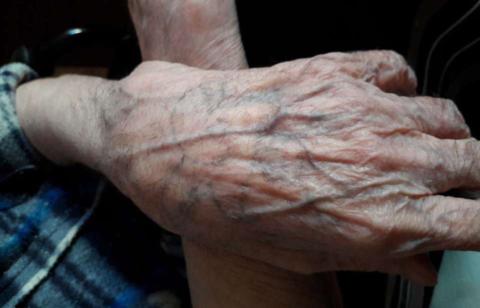 Продолжительность жизни в Воронежской области превысила 74 года: цель к 2030 году – 78,5 года