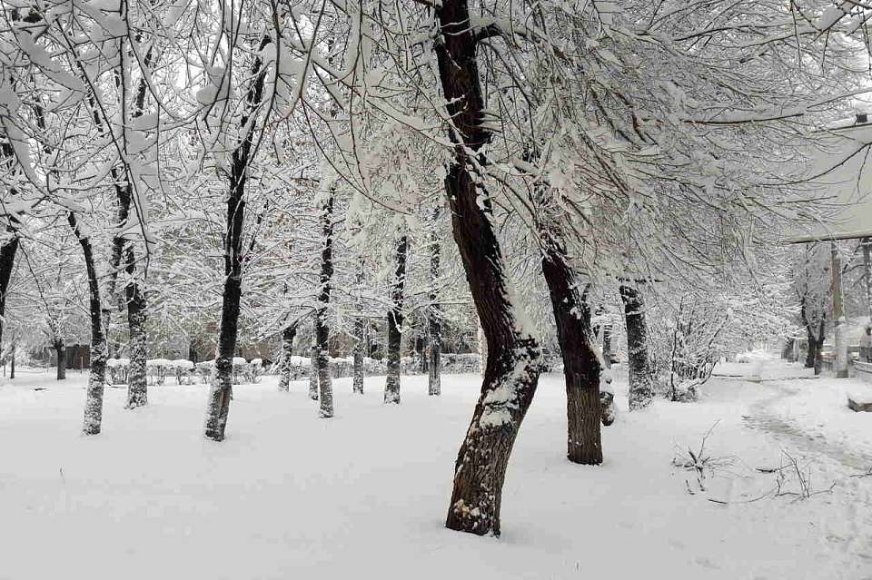 Синоптики прогнозируют в феврале в Воронежской области морозы до -15 и снег