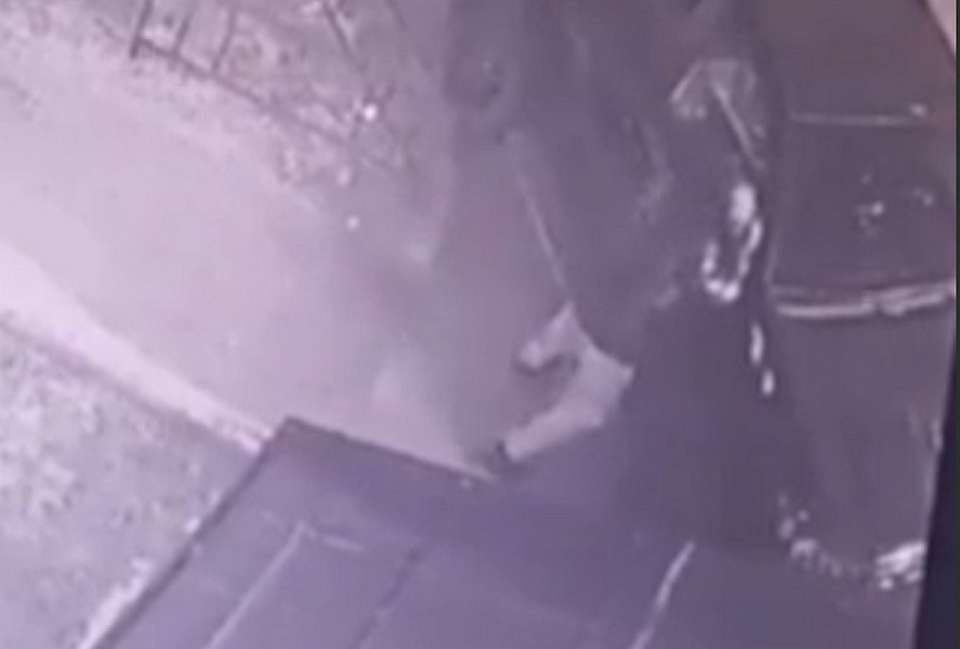 Похитителей автомобильных зеркал задержали воронежские полицейские