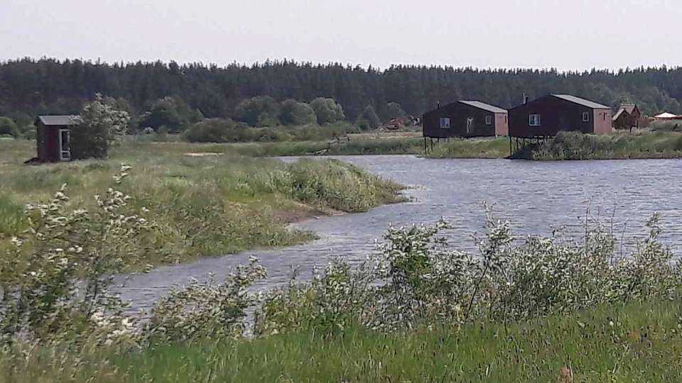 На продажу за 180 млн выставили турбазу «Ёлки» под Воронежем