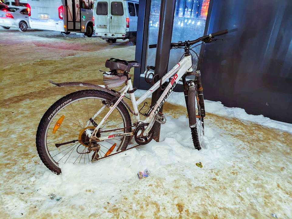 Под Воронежем вдоль Дона хотят построить 16-километровую велодорожку