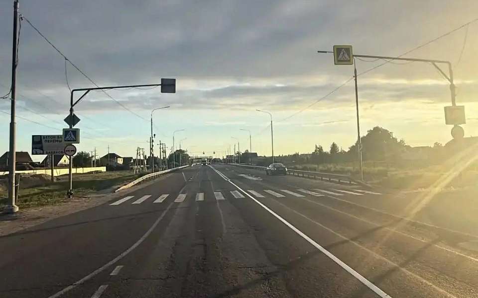 Двух девочек на переходе сбил водитель Škoda Octavia под Воронежем