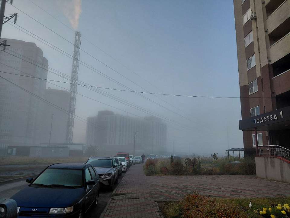 Туман задержится в Воронежской области