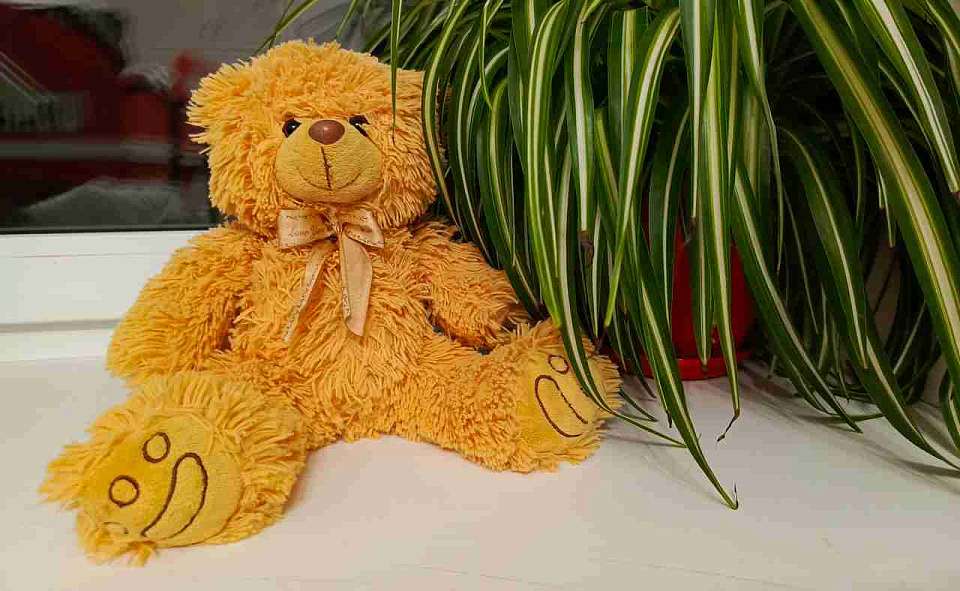 Скончался в Воронеже 5-летний Арсений Лихачёв со спинальной мышечной атрофией