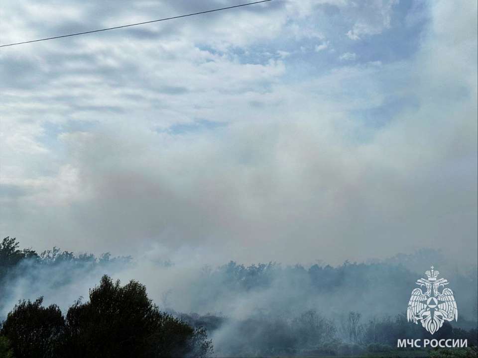 Дым от лесного пожара в Воронежском заповеднике дошел до Новоусманского района