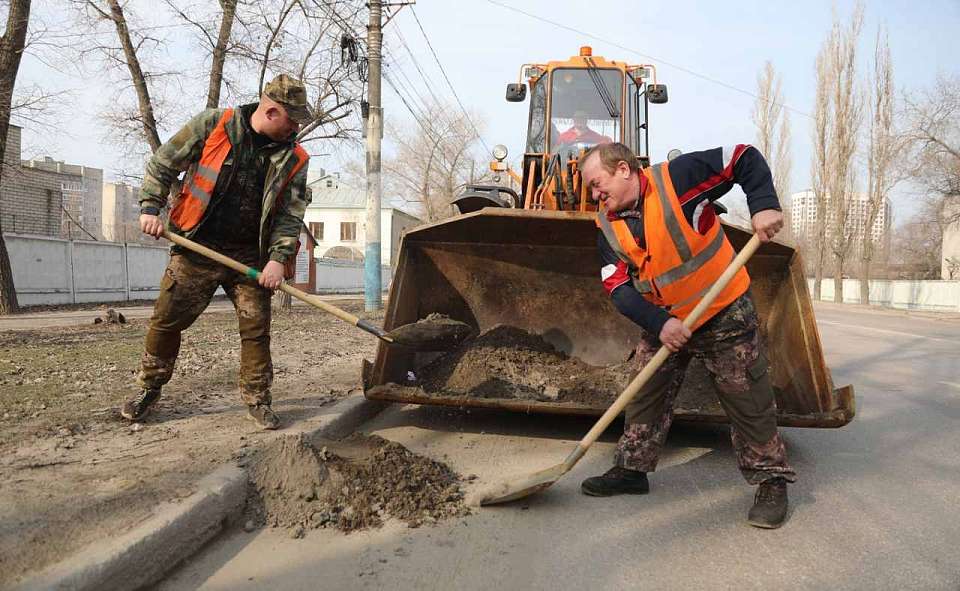 Мэр поручил усилить работу по уборке Воронежа от мусора