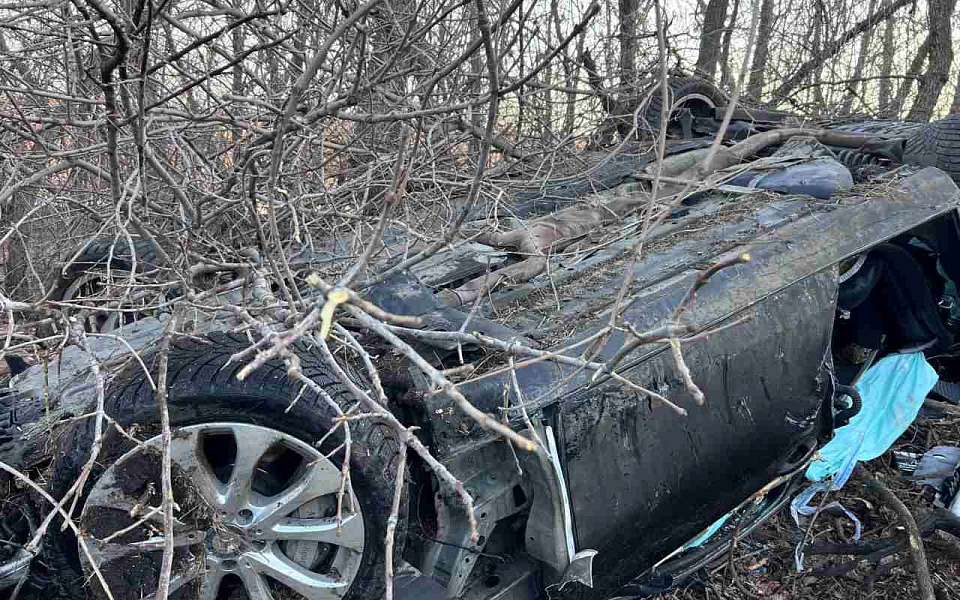 Два человека погибли и двое пострадали в разбившемся на воронежской трассе Mercedes-Benz 