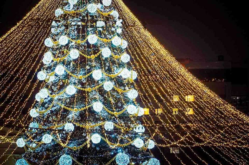 Сотни воронежцев пришли на открытие городской елки на площади Ленина