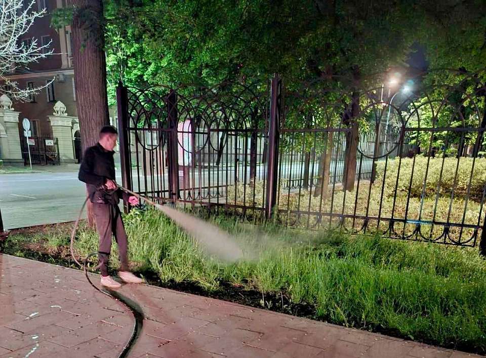 В Центральном районе продолжаются уходные работы за газонами