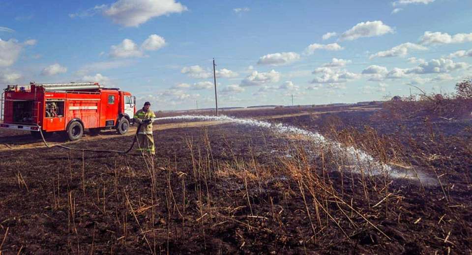 В районе Воронежской области вводят режим ЧС из-за пожаров на пшеничных полях