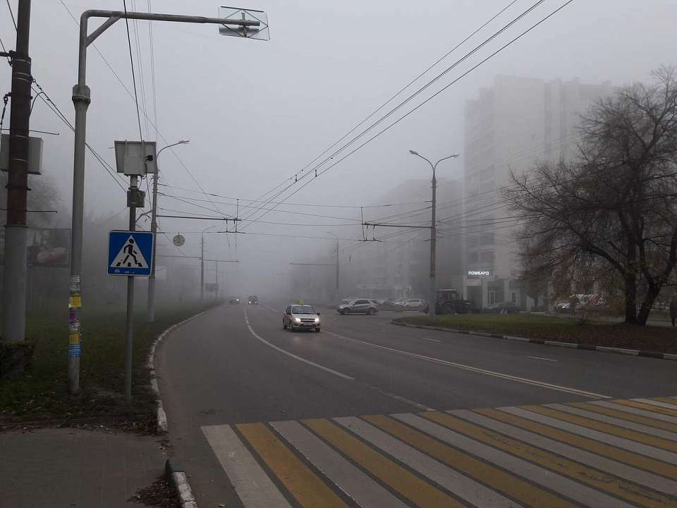 Жёлтый уровень погодной опасности из-за тумана продлён в Воронежской области