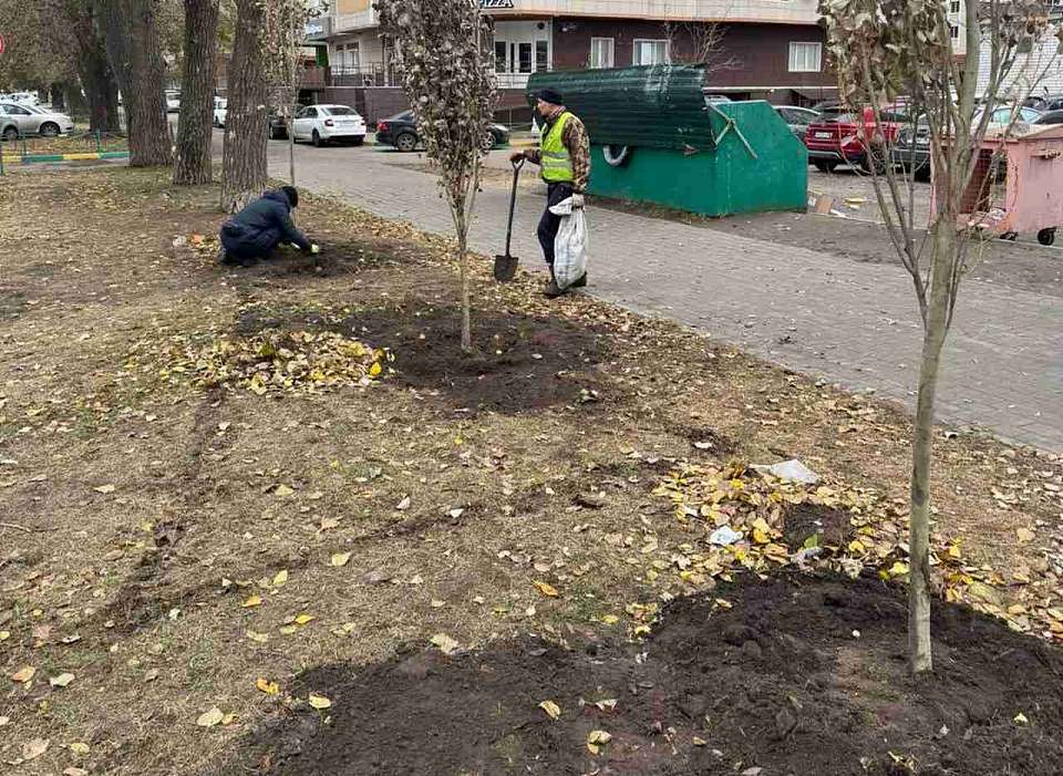 Осеннее озеленение в Воронеже подходит к завершению