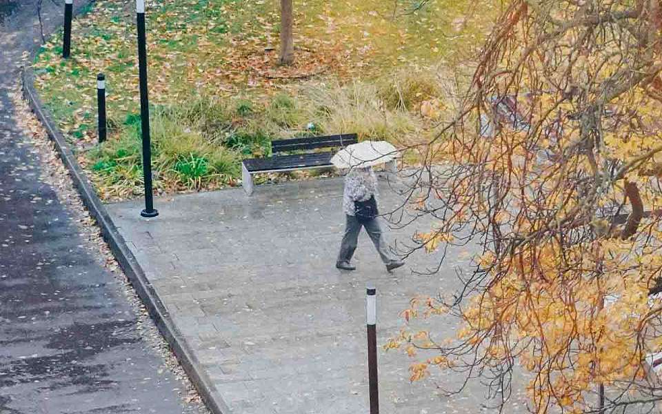 Какой будет погода в пятницу, 21 ноября, в Воронежской области