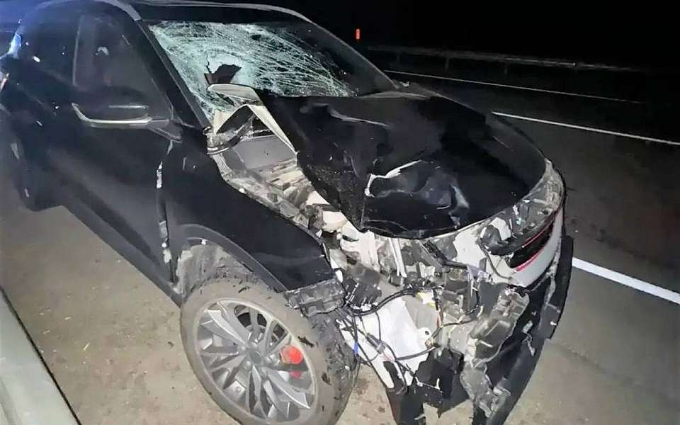На ночной дороге погиб неизвестный мужчина в Воронежской области