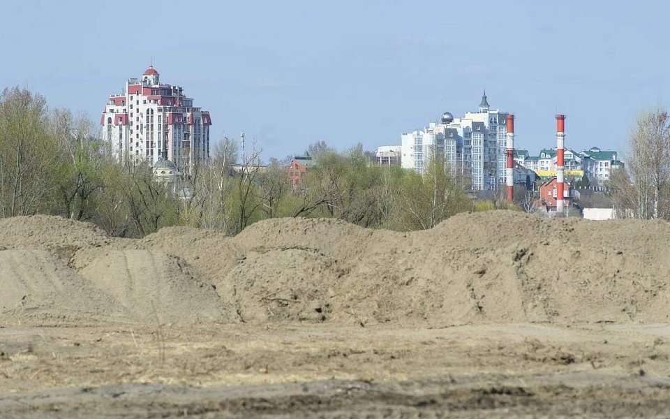 Работающих на Адмиралтейской площади нелегальных мигрантов задержала полиция в Воронеже