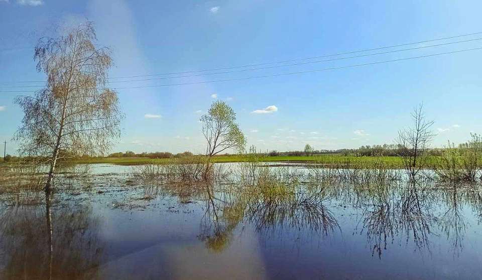 Благоприятная паводковая обстановка складывается в Воронежской области
