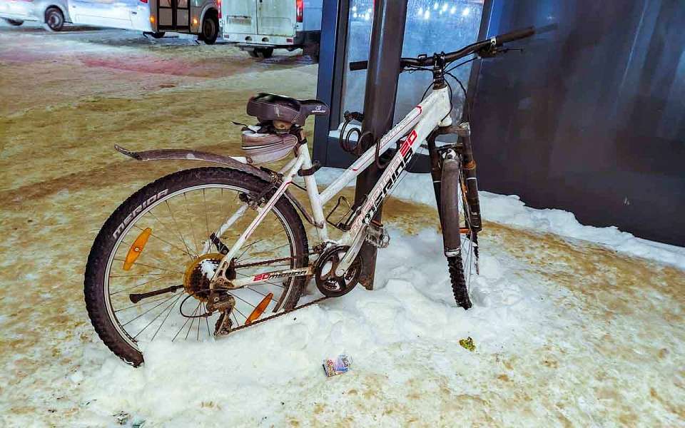 Потеплеет до +3 градусов в середине февраля в Воронежской области