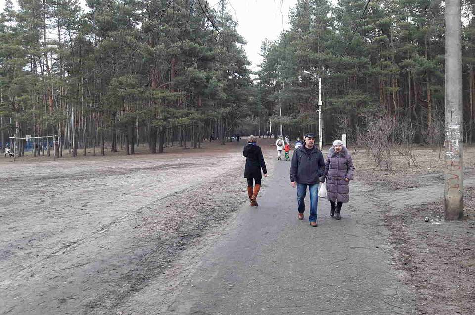 «Штормовое предупреждение» по заморозкам в Воронежской области передали в МЧС