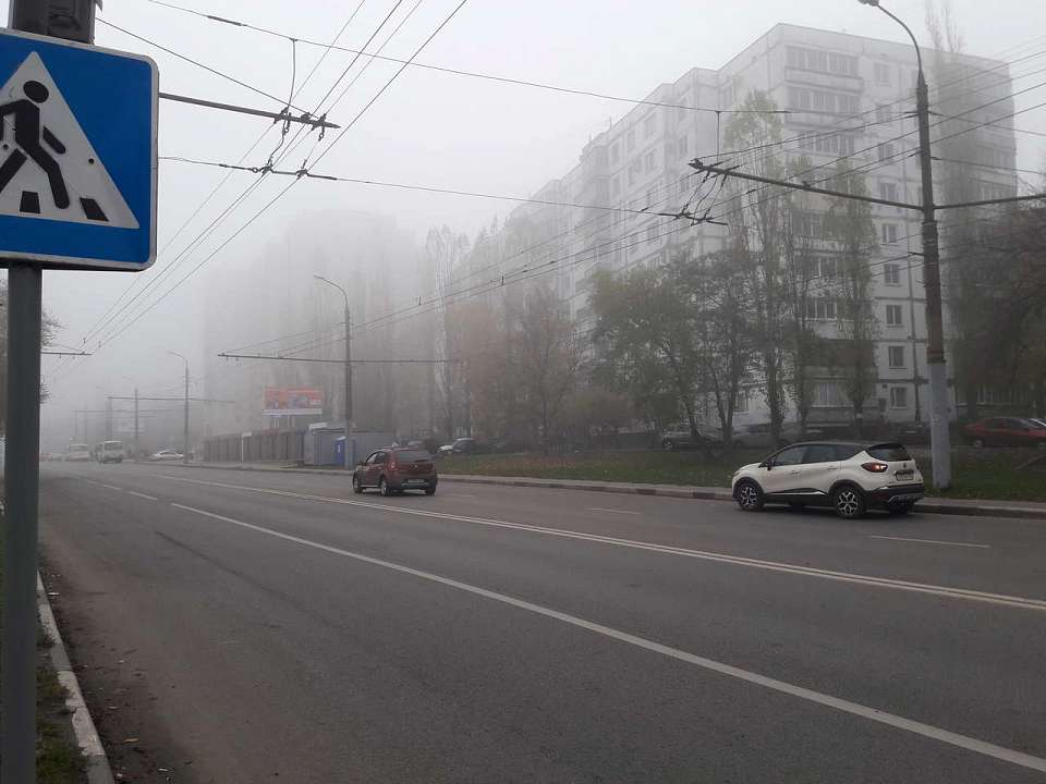 В Воронежской области объявлен жёлтый уровень опасности из-за тумана