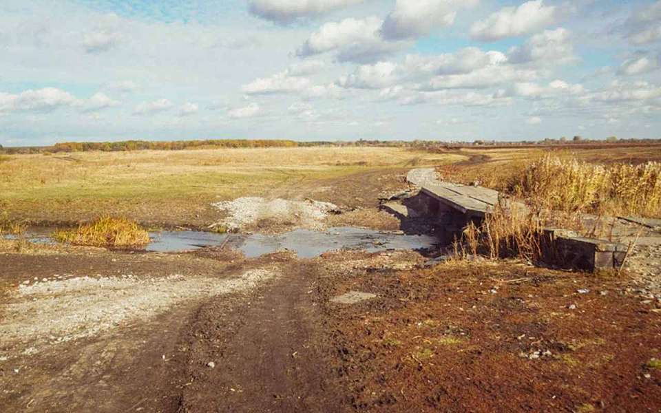 О появлении временных дорог в водоохранных зонах предупредили воронежцев