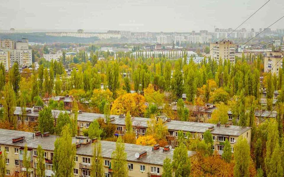О погоде на 22 октября рассказали воронежские синоптики