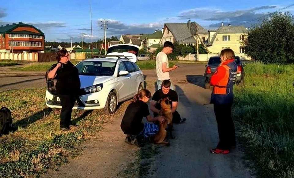 Мужчину, который ушел в лес за грибами и потерялся, спасли воронежские волонтеры