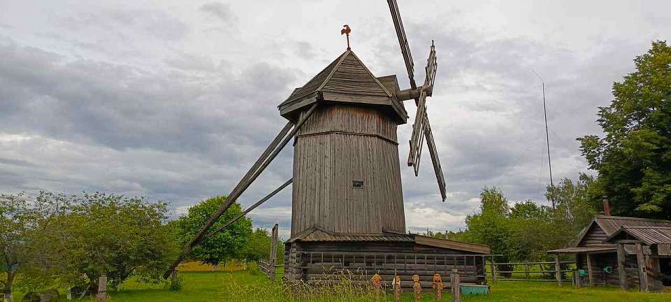 Порядка 837 тыс. тонн небезопасного зерна нашли в Воронежской области