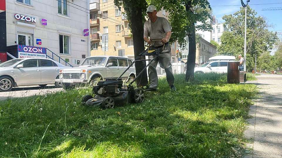 В Ленинском районе проходят плановые мероприятия по уходу за зелеными насаждениями