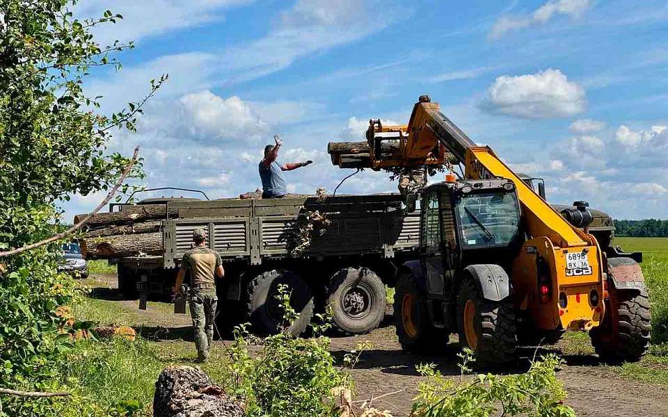 Корни победы. Как воронежский лес спасает жизни защитникам