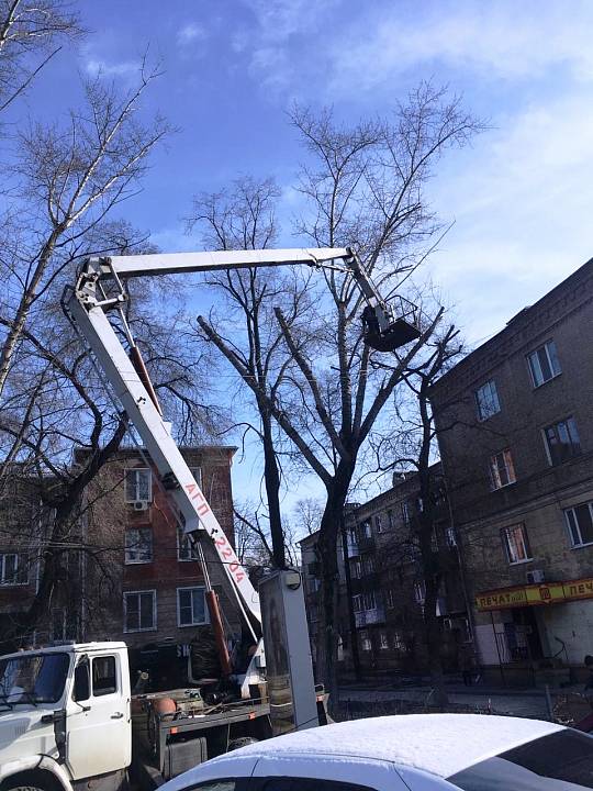 В Ленинском районе стартовали работы по плановой весенней обрезке зеленых насаждений