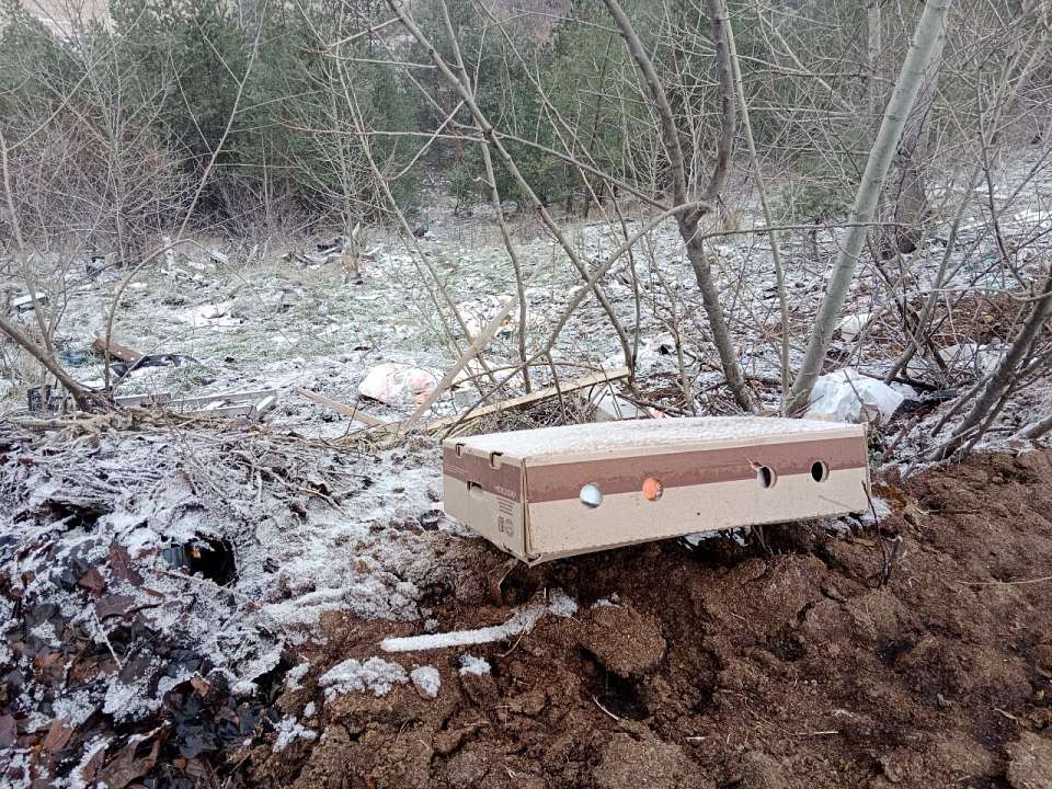 На окраине Воронежа экологи выявили незаконную свалку биологических отходов