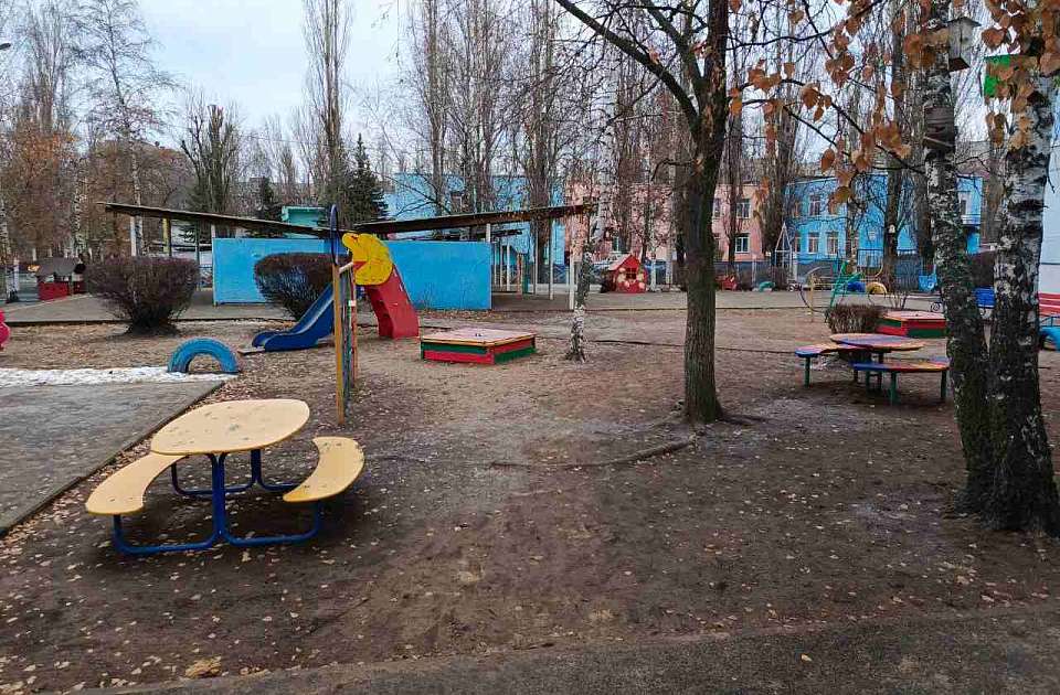 С потепления до +6 начнётся последняя рабочая неделя января в Воронежской области