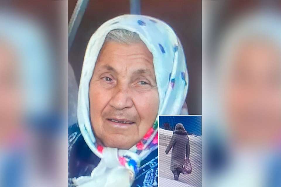 Под Воронежем ищут пропавшую 88-летнюю женщину