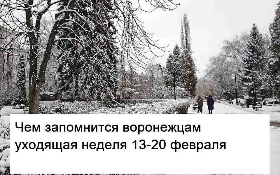 Чем запомнилась в Воронеже неделя с 13 по 20 февраля 