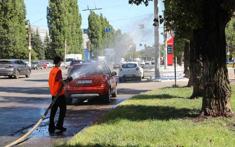 О работе коммунальщиков в жару рассказал мэр Воронежа