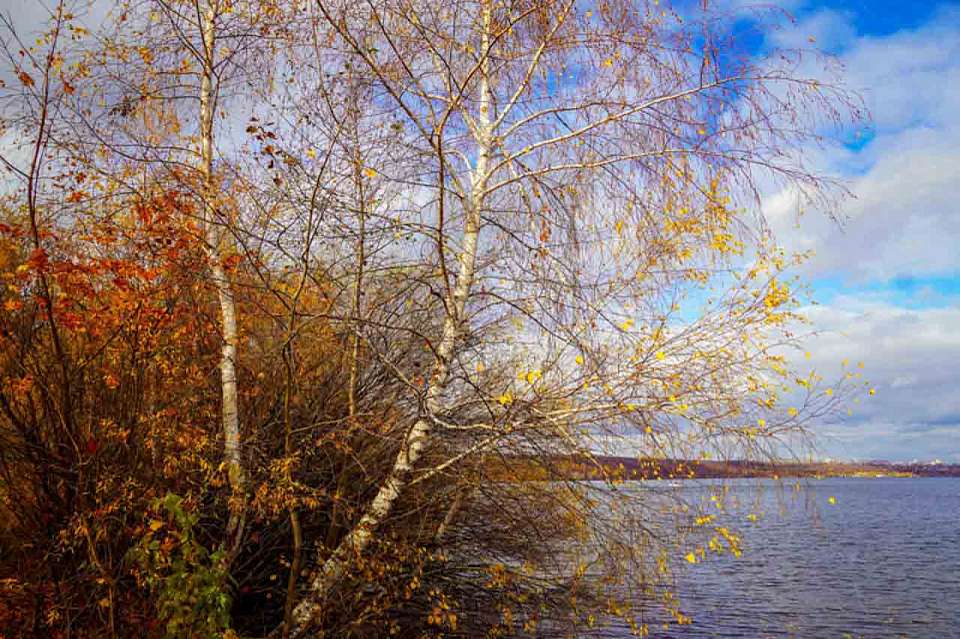 В Воронежской области появятся новые особо охраняемые природные территории