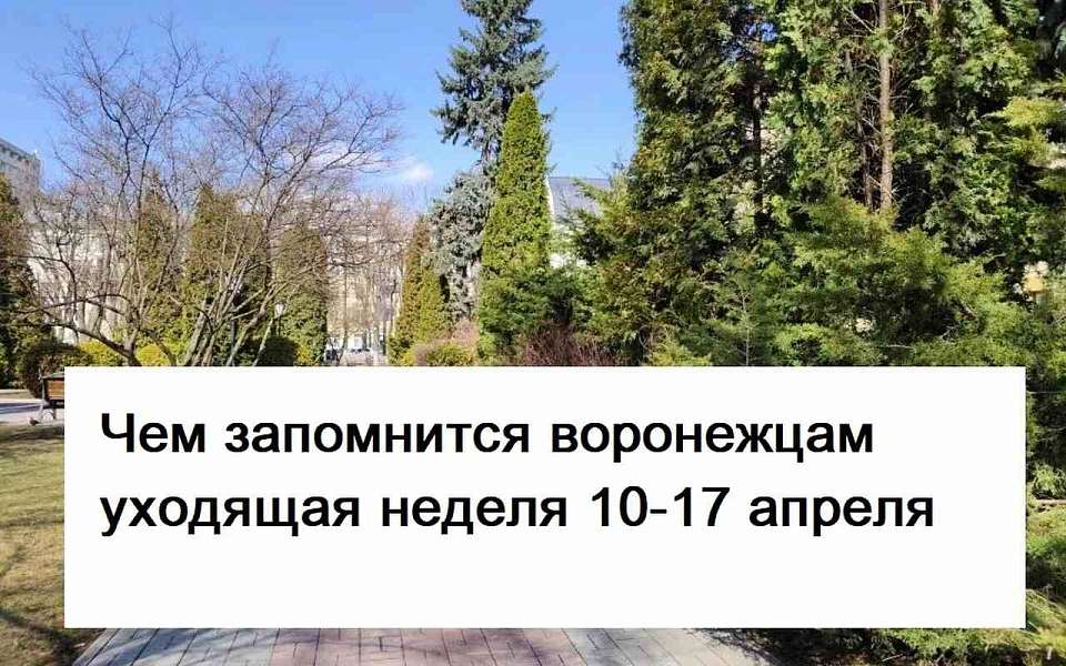 Чем запомнилась в Воронеже неделя с 10 по 17 апреля 