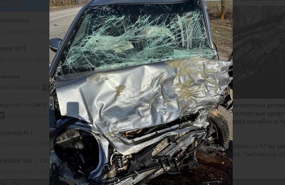 В лобовой аварии в Воронежской области погибли 4 человека и пострадала 12-летняя девочка