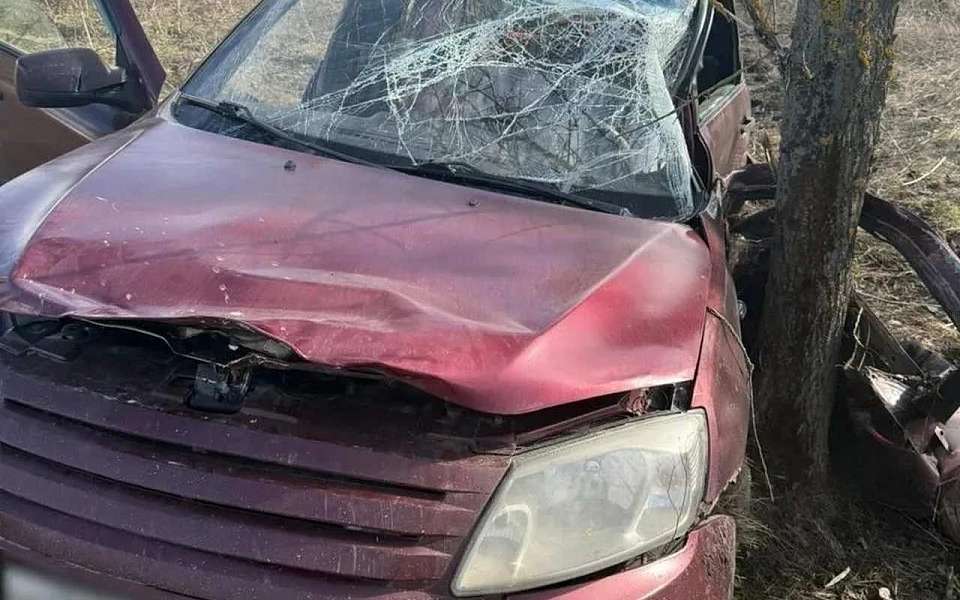 Насмерть разбился о дерево водитель «Лады» в Воронежской области
