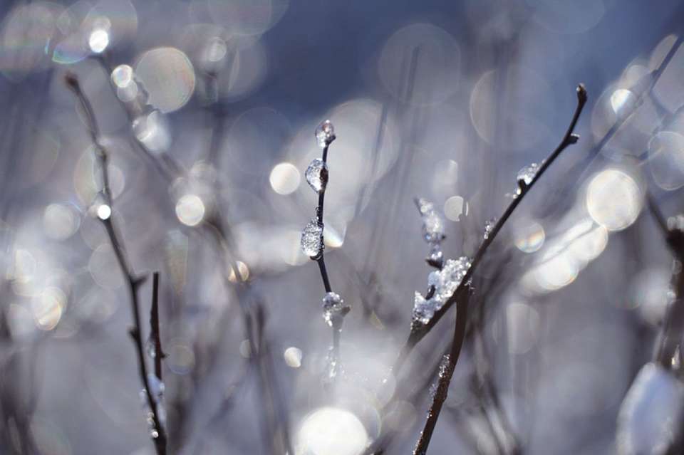 Мороз до -7 градусов придет в Воронежскую область