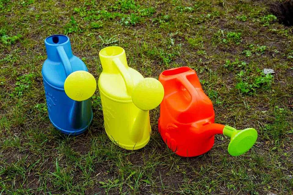 Почти 900 га парков и лесных массивов привели в порядок на месячнике благоустройства в Воронеже