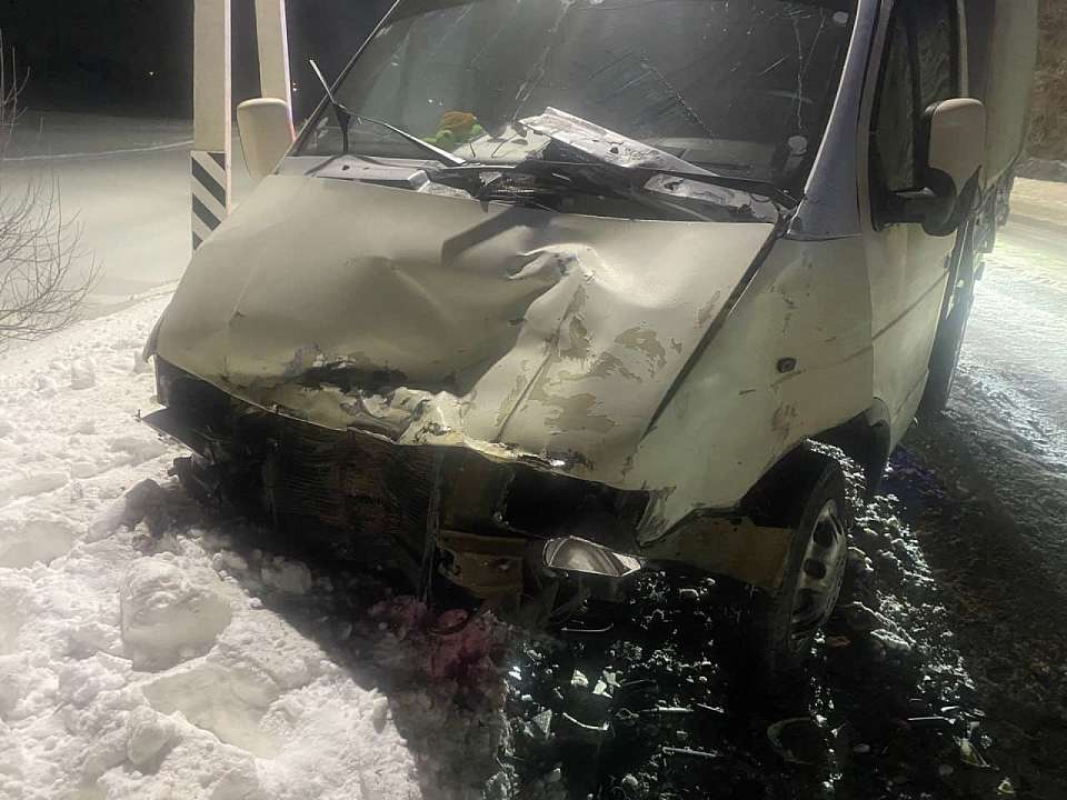 Три человека пострадали в ДТП легковушки и фургона под Воронежем