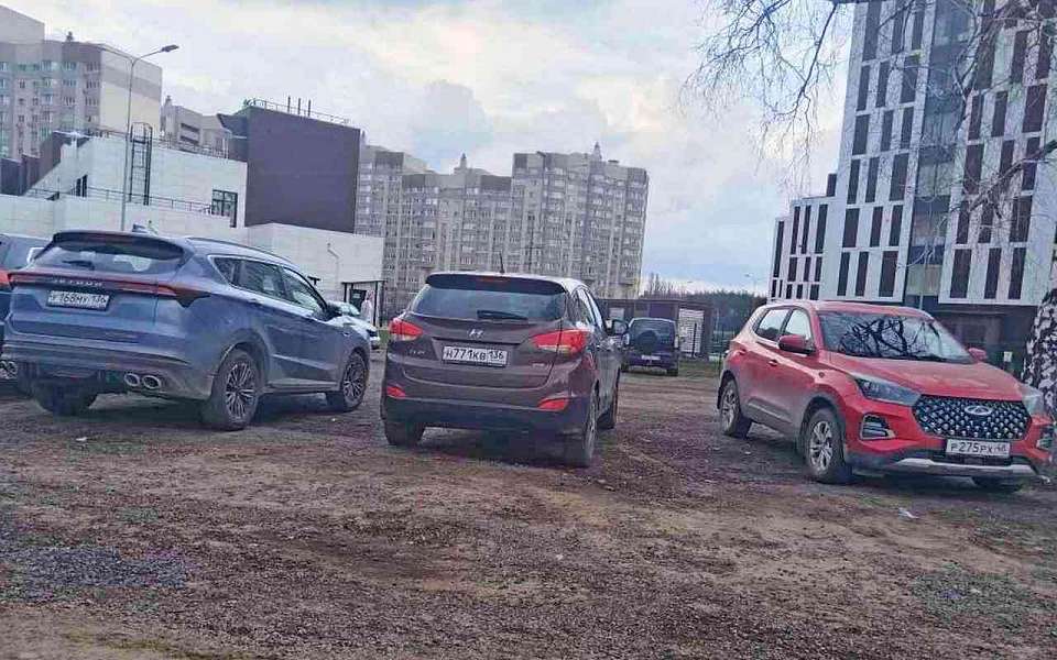 В середине рейтинга российских регионов по доступности бензина оказалась Воронежская область
