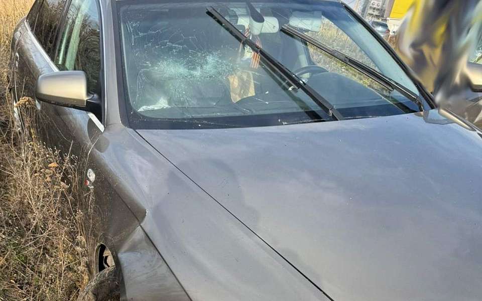 Погиб водитель разбившейся в кювете иномарки под Воронежем