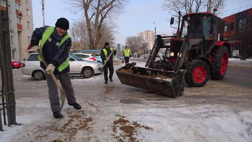 Мэра Сергея Петрина беспокоит уборка Воронежа
