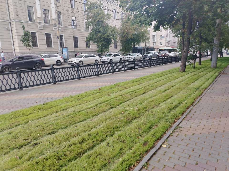 В Воронеже продолжается обустройство газонов