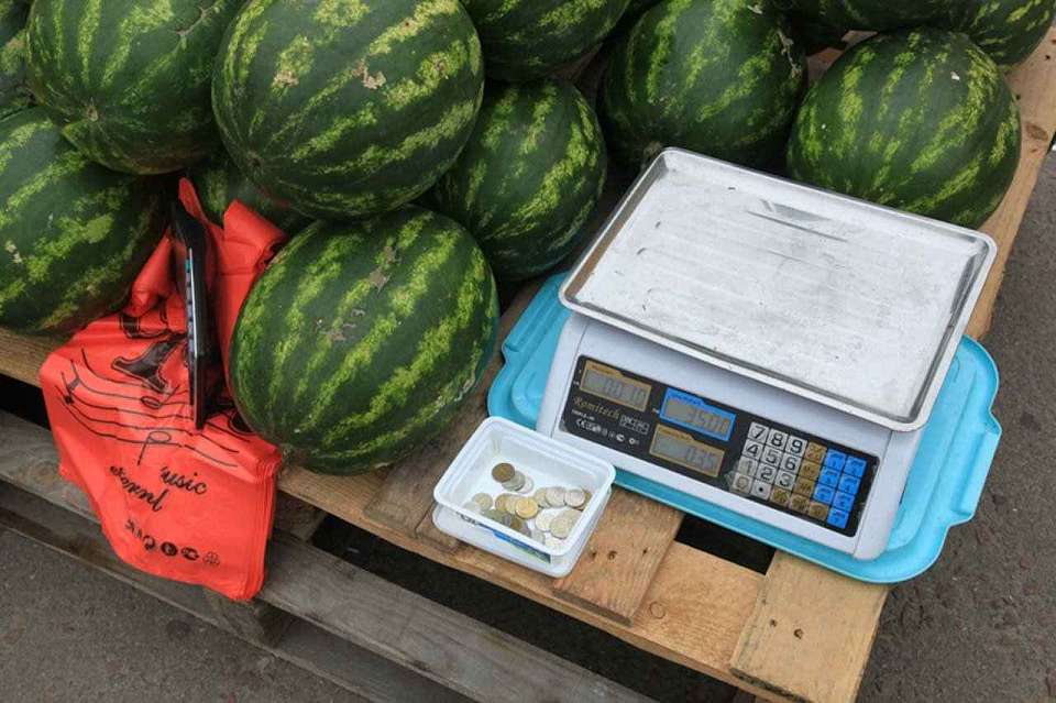 Как выбрать спелые дыни и арбузы, посоветовали воронежцам