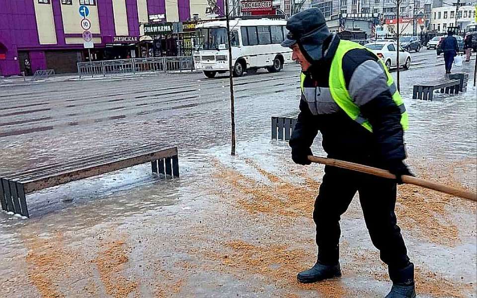Обеспечить в гололёд подъезд к контейнерным площадкам и подготовиться к зимнему субботнику поручил воронежский мэр 