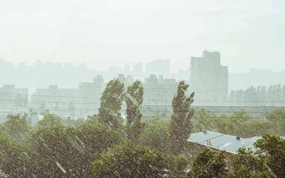 Штормовой ветер с грозой и ливнем придет 26 июня в Воронежскую область